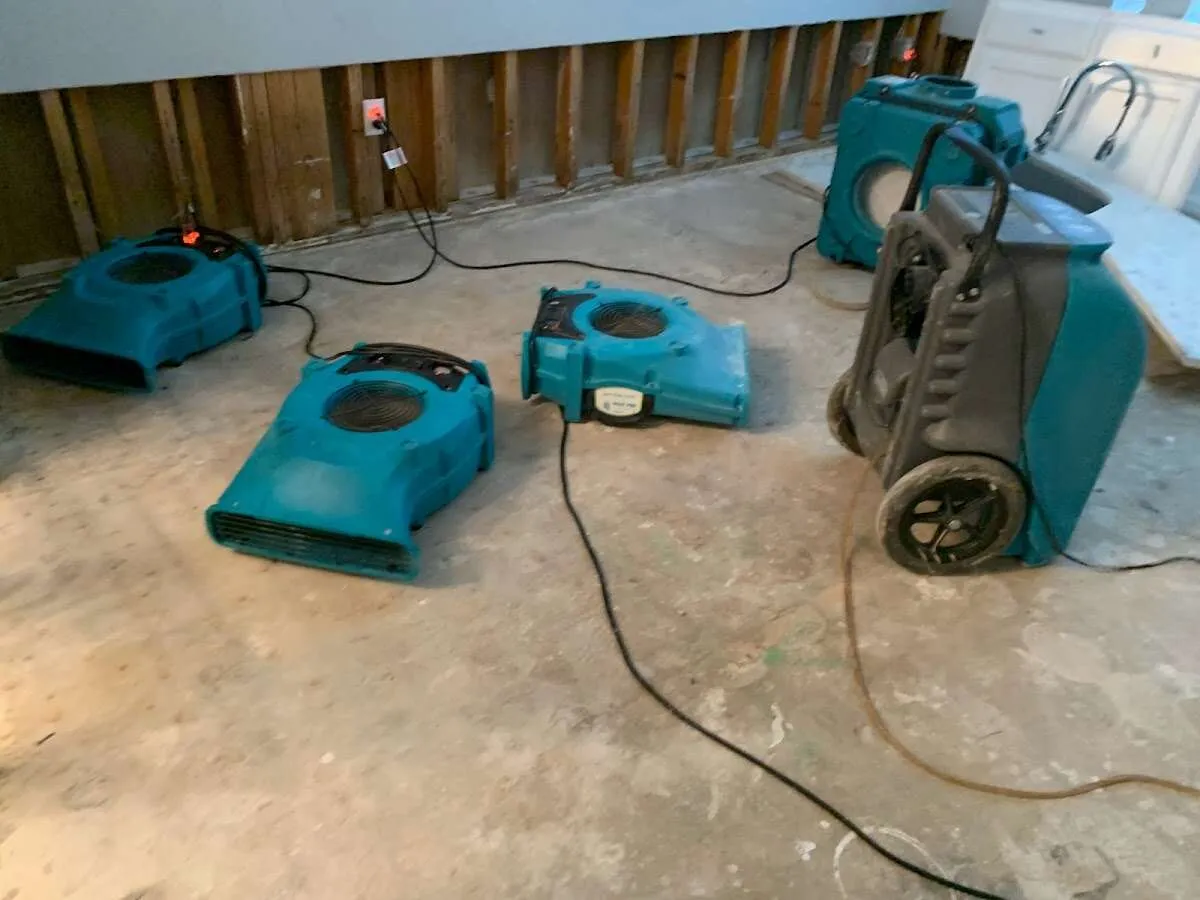 Flood Damage Cleanup in Miami Springs, FL